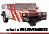 Bummer-Hummer--18330.jpg