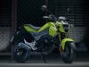 2016-honda-msx-125-grom-motorcycle-bike-review-specs-motorbike-pit-125cc-msx125sf-sf-custom-31.jpg