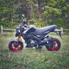 Z125 21.jpeg
