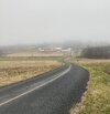 IMG_3778.jpg