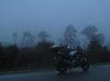 NC in the fog.jpg