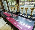 A view of the trophies won at 2023's Budweis Custom Motorcycle Show. Media sourced from Indian Motorcycles. A view of the trophies won at 2023's Budweis Custom Motorcycle Show. Media sourced from Indian Motorcycles.