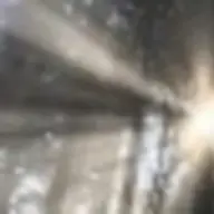 D_SC