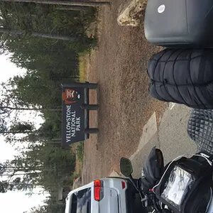 YellowStone National Park