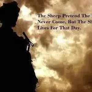 sheep dog